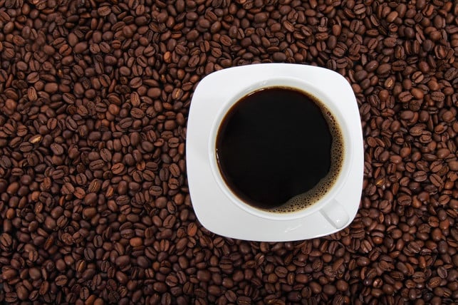 kaffee-fans-aufgepasst-mit-kaffeesatz-koennt-ihr-k-cc0-pixabay-publicdomainpictures-180613_download Kaffee-Fans aufgepasst: Mit Kaffeesatz könnt ihr Katzen aus dem Garten verbannen.