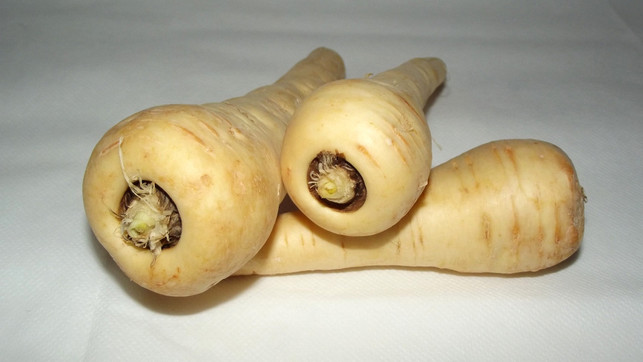 Ich habe einen Winter nur saisonales Gemüse gekauft – Pastinaken waren meine Rettung Selbstversuch saisonales Gemüse