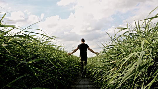 japanisches-gehen-cc0--pixabay--tabeajaichhalt-250902 japanisches Gehen