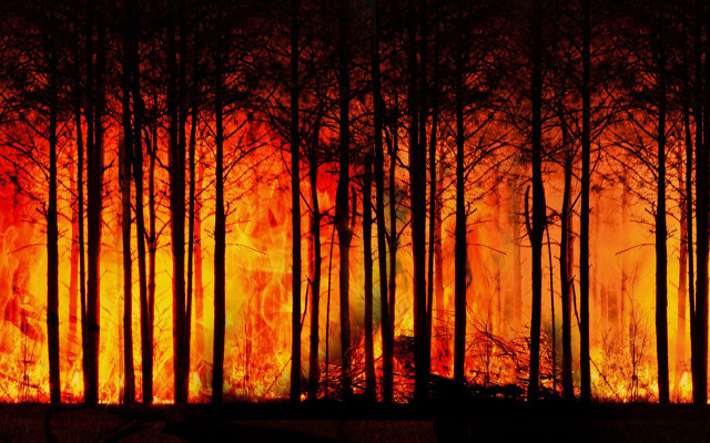 Wildfires can be caused by a variety of factors, including lightning strikes, discarded cigarettes, and arson.