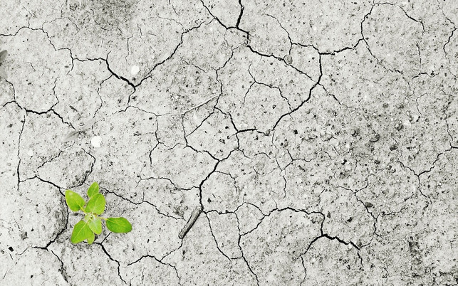 duerre-durch-klimawandel-cc0-pixabay-andreas160578-180226 Dürre durch Klimawandel