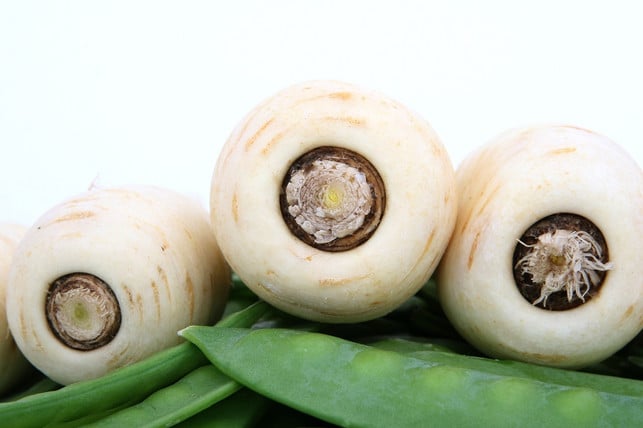 pastinake-laesst-sich-gut-selbst-anbauen-cc0-pixabay-shutterbug75-240214_download Pastinake lässt sich gut selbst anbauen.