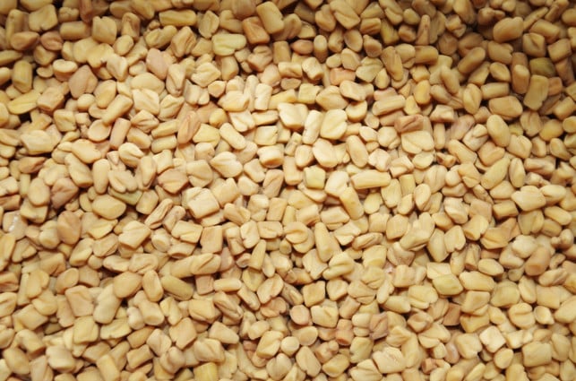 bockshornkleesamen-natuerliche-unterstuetzung-fuer-d-cc0-pixabay-ajale-180602_download Bockshornkleesamen sollen eine milchbildende Wirkung haben.