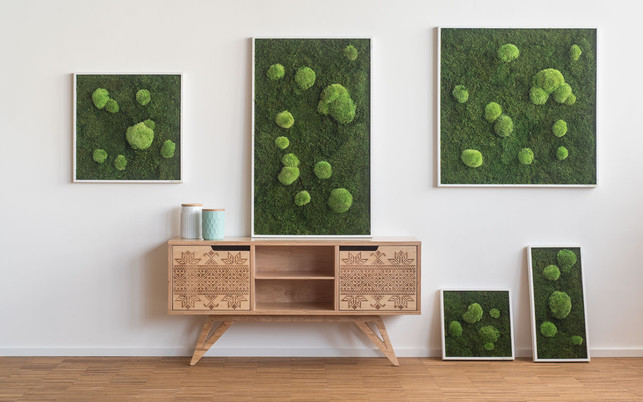 pflanzenbilder-enorm-z-stylegreen-180823-1280x800 Pflanzenbilder Pflanzen Wände