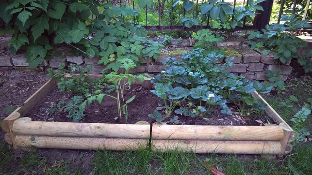 spiele-fuer-draussen-p-gardening-170405-1280x720 Spiele für draußen, Spiele für Kinder, Urban Gardening