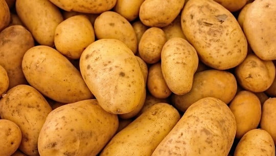 kartoffeln-cc0-pixabay-wounds_and_cracks-190115 Kartoffeln