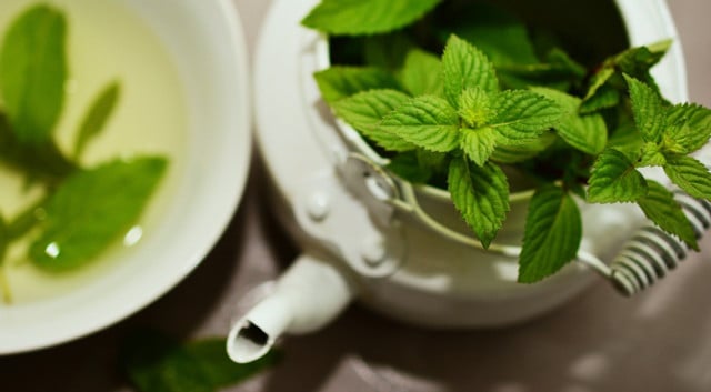 The effect of peppermint tea comes from the menthol.