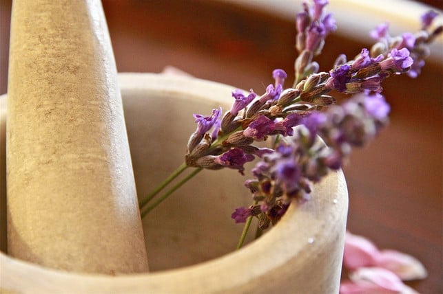 lavendel-im-fastentee-wirkt-beruhigend-cc0-pixabay-michydev-220628_download Lavendel im Fastentee wirkt beruhigend.