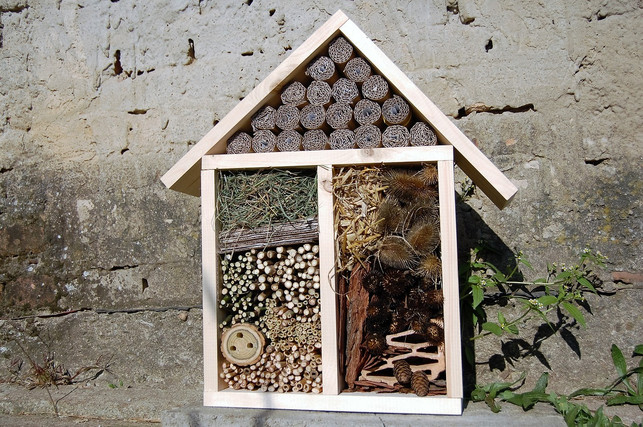 insektenhotels-hilft-den-tieren-beim-ueberwintern-cc0-pixabay-pavlusa-180624_download Insektenhotels hilft den Tieren beim Überwintern