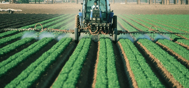 Viel ausgebrachte Pestizide sind Herbizide, Fungizide und Insektizide.