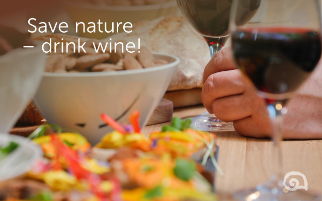 6 Schritte zum ökologischen Weingenuss