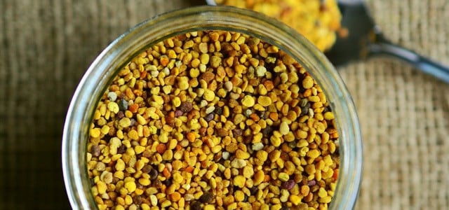 Blütenpollen Biene Superfood