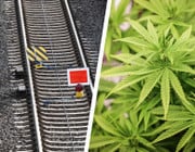 Deutschlandticket-Erweiterung, Deckel-Verbot, Cannabis: Das ändert sich im Juli