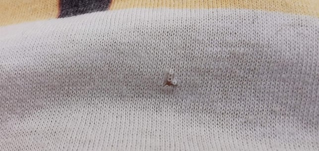 kleine-loecher-in-der-kleidung-was-ist-der-grund-sven-christian-schulz-utopia-210516_download Kleine Löcher in der Kleidung: Was ist der Grund?