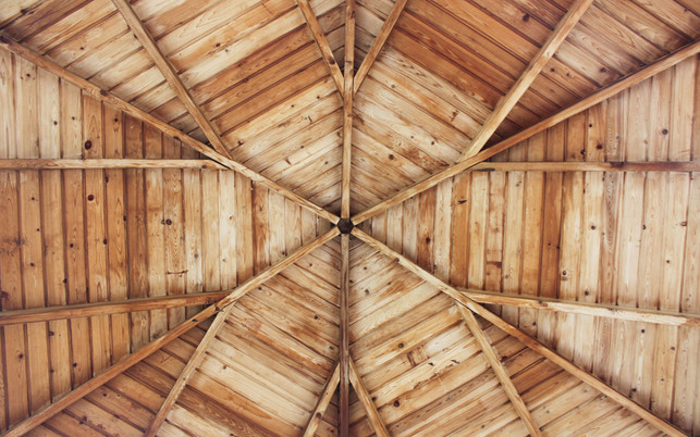 hudson-hintze-ZTO5ntSqUKA-unsplash_1280x800px CO2 vermeiden kompensieren Triodos Bank