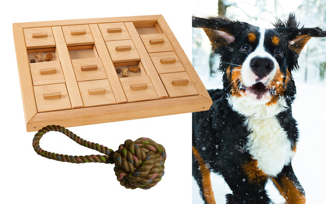geschenke-hund-wurfball-spiel-uss-anastasiia-tarasova-Beco-avocadostore-Waschbaer-211201-1280x800 Spielzeug für Hunde