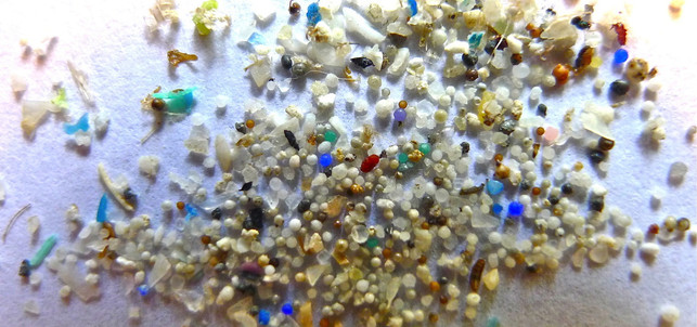 151015-mikroplastik-x_5Gyres:Oregon State University_1280x600 Mikroplastik: teils gemacht, teils aus Plastik entstanden
