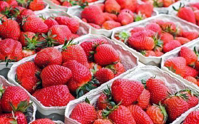 schimmelige-erdbeeren-solltest-du-nicht-essen-cc0-pixabay-1195798-190705_download Schimmelige Erdbeeren solltest du nicht essen.