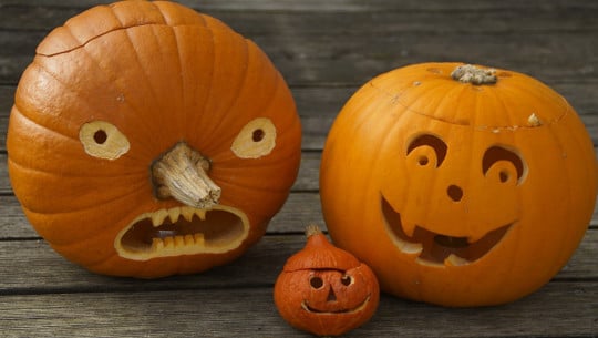 halloweenkuerbis-essen-cc0-pixabay-efraimstochter-201026 Halloweenkürbis essen