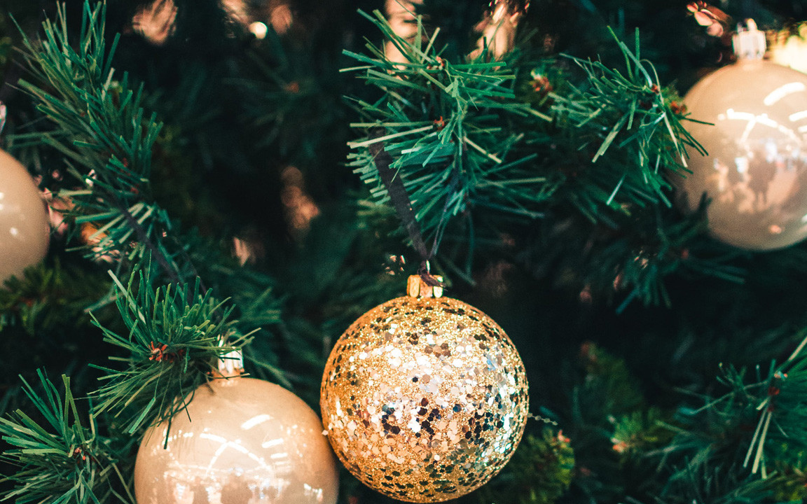 Weihnachtsbaum kaufen: Echter Baum oder Plastiktanne?  Utopia.de
