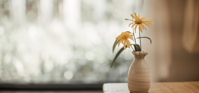 Blumenvase reinigen