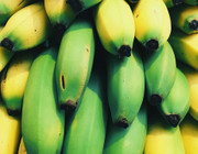 grüne banane