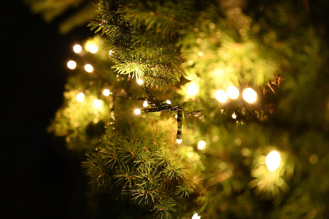 mit-mathematischen-formeln-kannst-du-deinen-weihna-cc0-pixabay-lenbernhard-221213_download Mit mathematischen Formeln kannst du deinen Weihnachtsbaumschmuck berechnen.