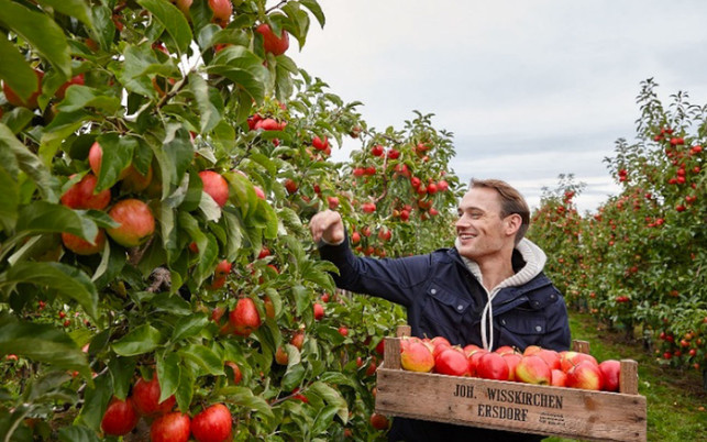 SA_Bild-2_1280x800 REWE Bienen Apfelernte