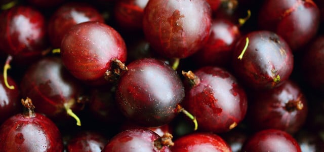 Stachelbeeren Rezepte