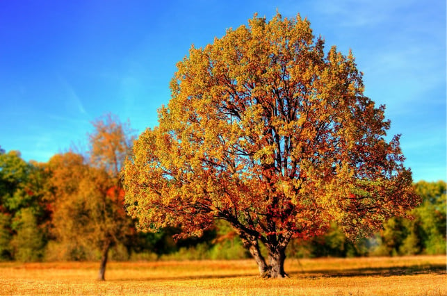 Autumn also has its beautiful sides.