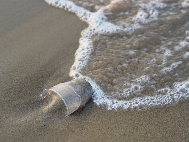 im-und-am-meer-gibt-es-immer-mehr-muell-die-seaqua-cc0-pixabay-flockine-230113_download Im und am Meer gibt es immer mehr Müll. Die Seaqual Initiative will dagegen etwas unternehmen.