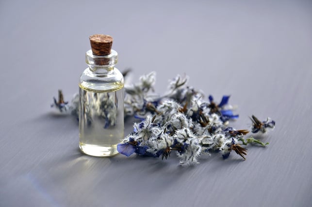 heute-wird-borretsch-als-heilpflanze-hauptsaechlich-cc0-pixabay-mareefe-190425_download Heute wird Borretsch als Heilpflanze hauptsächlich für Hauterkrankungen eingesetzt.
