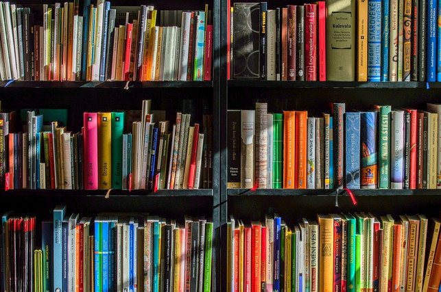 kostenlose-buecher-kannst-du-auch-in-deinem-eigenen-cc0-pixabay-luboshouska-210521_download Kostenlose Bücher kannst du auch in deinem eigenen Heimatort finden.