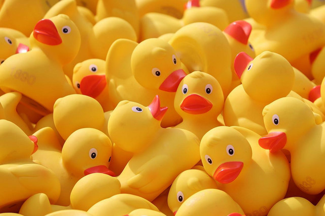 bleiben-plastikenten-im-wasser-koennen-sie-auf-den-cc0-pixabay-manfredrichter-220705_download Bleiben Plastikenten im Wasser, können sie auf den Grund sinken und zu Mikroplastik werden.