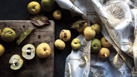 cc0-pixabay-inka_s-200111