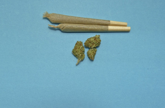bei-chronischem-konsum-kann-sich-cannabis-schaedlic-cc0-pixabay-techphotogal-240619_download Bei chronischem Konsum kann sich Cannabis schädlich auf Psyche und Lunge auswirken.