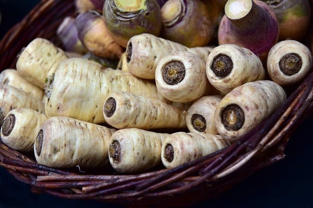 petersilienwurzel-ist-ein-regionales-wintergemuese-cc0-pixabay-ulleo-241011_download Petersilienwurzel ist ein regionales Wintergemüse welches oft mit Pastinake verwechselt wird.