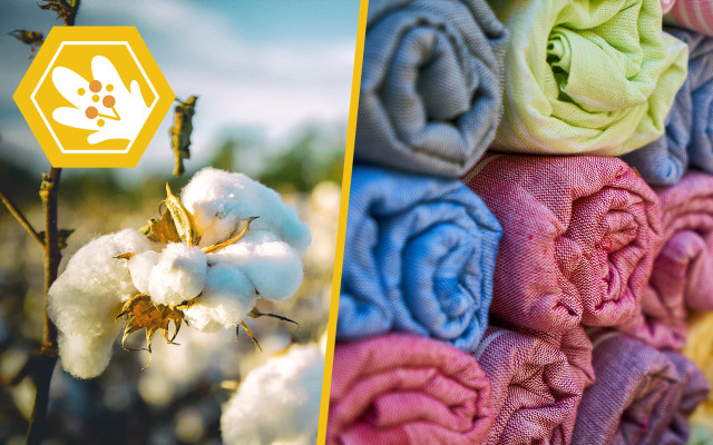 bienensterben-auswirkung-kleidung-pb-bobbycrim-Engin-Akyurt-180515-1280x800 Bienensterben: Dinge, die es nicht mehr gibt, wenn die Bienen sterben.