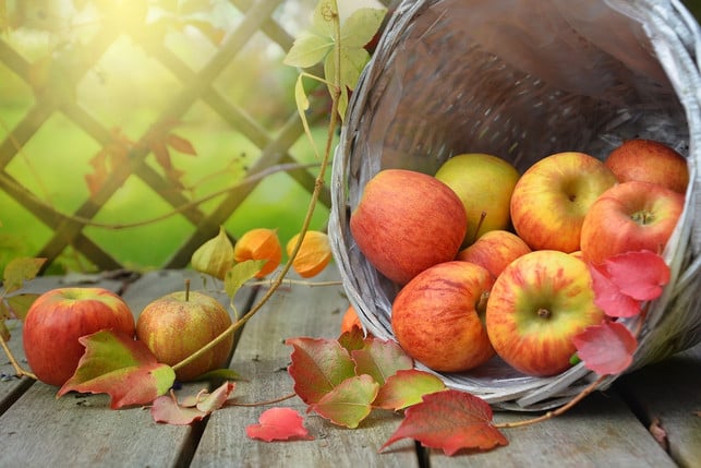 in-form-von-marmelade-haelt-sich-die-apfelernte-wei-cc0-pixabay-castleguard-180925_download In Form von Marmelade hält sich die Apfelernte weit über die Saison hinaus.