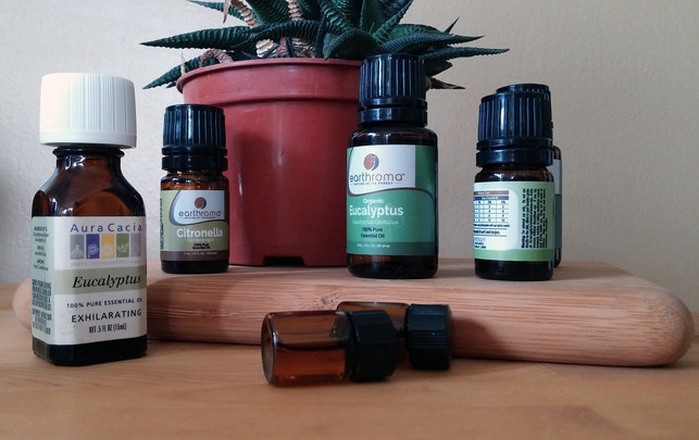 eukalyptusoel-besteht-aus-vielen-wertvollen-aromati-cc0-pixabay-deedster-181206_download Eukalyptusöl besteht aus vielen wertvollen aromatischen Stoffen.