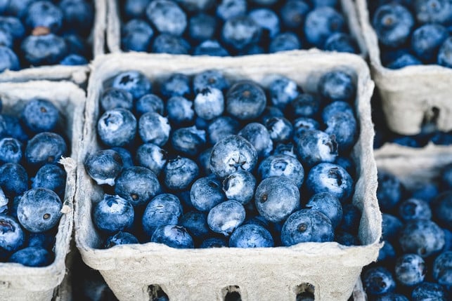 waldheidelbeeren-sind-rar-und-selten-frei-verkaeufl-cc0-pixabay-elizadean-241119_download Waldheidelbeeren sind rar und selten frei verkäuflich.