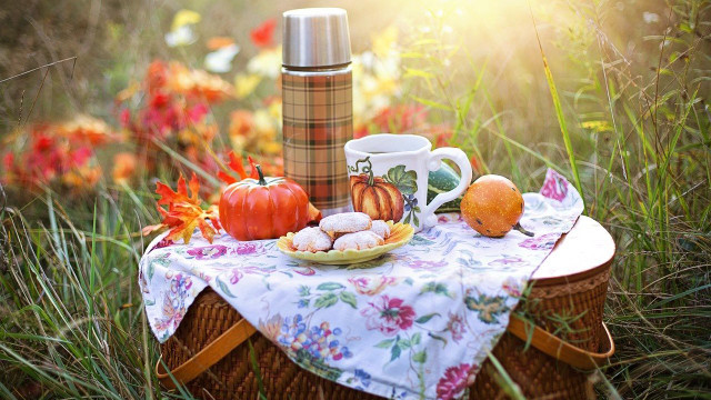 picknick-ideen-cc0-pixabay-jillwellington-200728 Picknick-Ideen