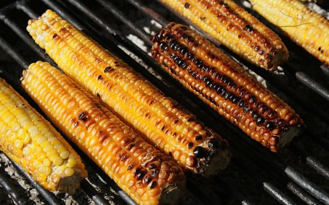 mais-muss-vor-dem-grillen-vorgegart-werden-cc0-pixabay-byrev-180726 Mais muss vor dem Grillen vorgegart werden