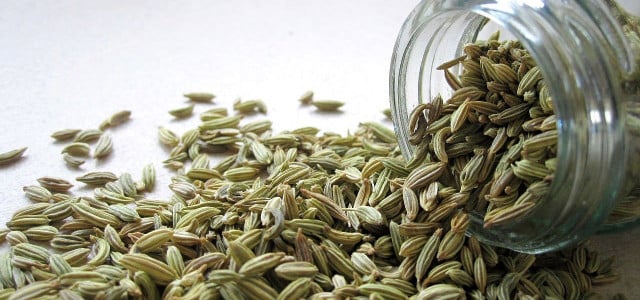 Fennel seeds: Effects and uses of this versatile household remedy