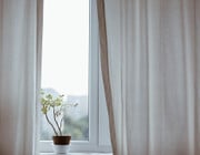 Pflanzen Fensterbank