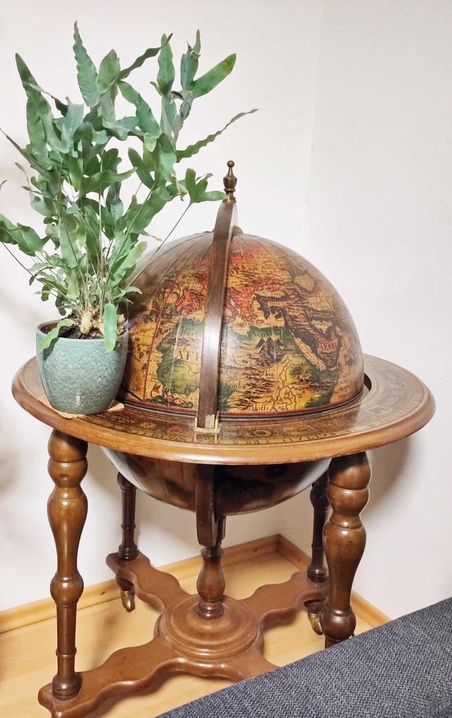 Wohnung nachhaltig einrichten mit kleinem Budget – geht das? Globus Pflanze