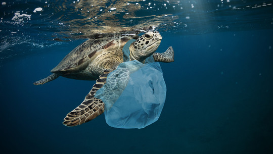 plastikmuell-meer-w-Jag_cz-200128-1280x720 Plastikmüll im Meer: Die wahren Ursachen