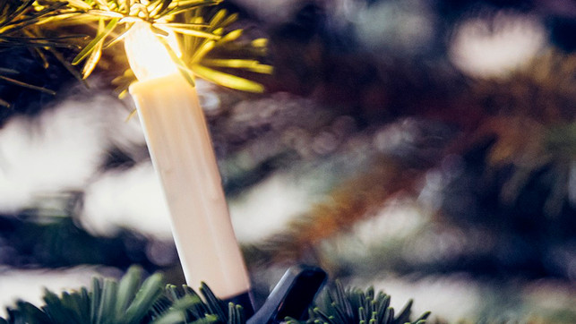 LED-Kerzen: Dieser Stromfresser hat am Weihnachtsbaum nichts verloren