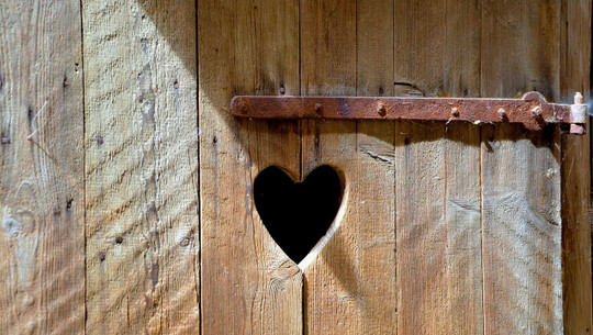 urin-ist-als-duenger-in-einigen-faellen-gut-geeignet-cc0-pixabay-congerdesign-231214 Urin ist als Dünger in einigen Fällen gut geeignet.