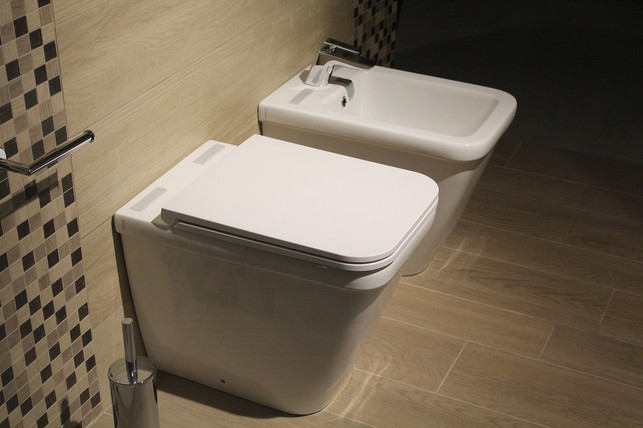 regenwasser-fuer-die-toilettenspuelung-zu-verwenden-cc0-pixabay-sferrario1968-230905_download Regenwasser für die Toilettenspülung zu verwenden, spart Trinkwasser.